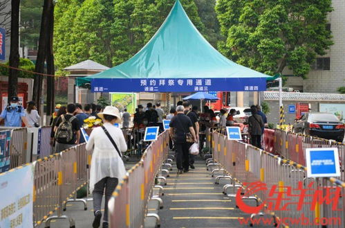 清明假期首日廣州逾12萬人現(xiàn)場祭掃,無煙拜祭鮮花拜祭成新風尚